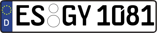 ES-GY1081