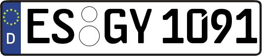 ES-GY1091