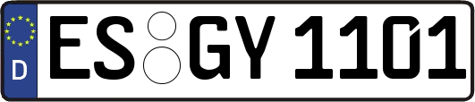 ES-GY1101