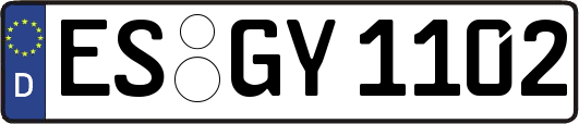 ES-GY1102