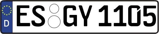 ES-GY1105