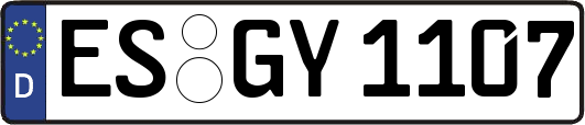 ES-GY1107