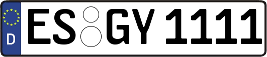 ES-GY1111
