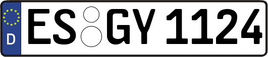 ES-GY1124