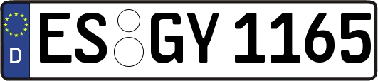 ES-GY1165