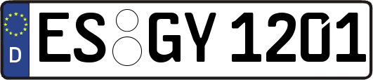ES-GY1201