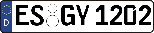 ES-GY1202