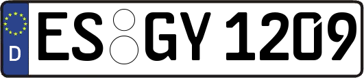 ES-GY1209