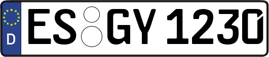 ES-GY1230