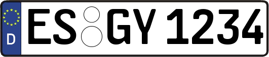 ES-GY1234