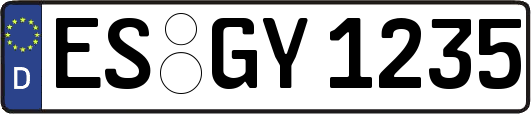ES-GY1235