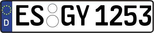 ES-GY1253