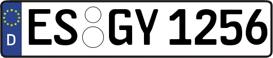 ES-GY1256
