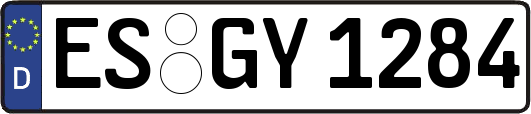 ES-GY1284