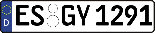 ES-GY1291