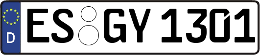 ES-GY1301