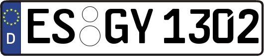 ES-GY1302