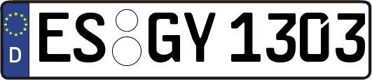 ES-GY1303