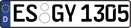 ES-GY1305