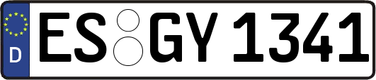 ES-GY1341