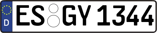 ES-GY1344
