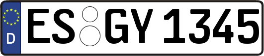 ES-GY1345