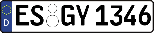 ES-GY1346