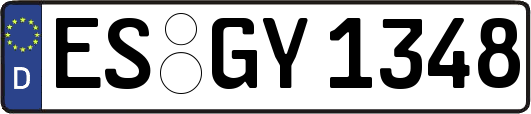 ES-GY1348