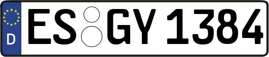 ES-GY1384