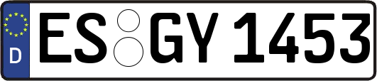ES-GY1453
