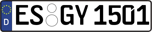 ES-GY1501
