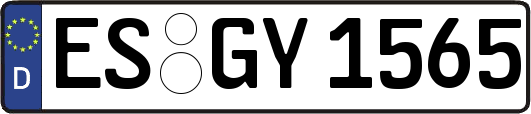 ES-GY1565