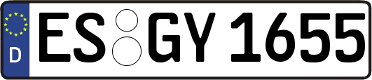ES-GY1655