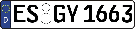 ES-GY1663