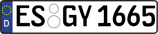 ES-GY1665