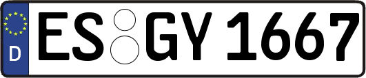 ES-GY1667