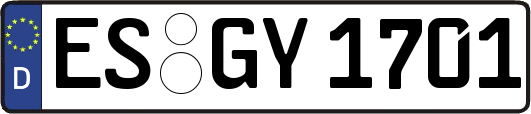 ES-GY1701