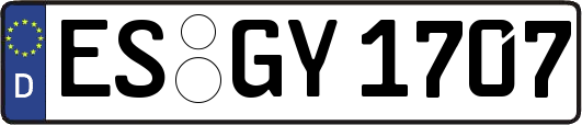 ES-GY1707