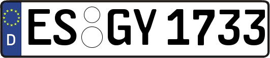 ES-GY1733
