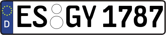 ES-GY1787