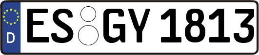 ES-GY1813