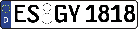 ES-GY1818