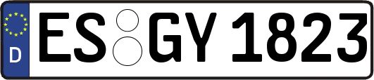 ES-GY1823