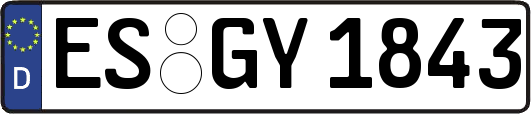 ES-GY1843