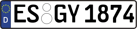 ES-GY1874