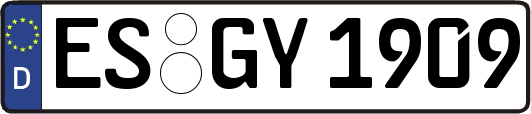 ES-GY1909