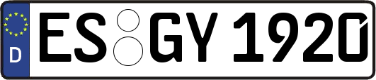 ES-GY1920