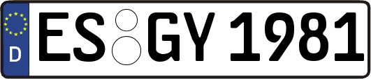 ES-GY1981