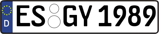 ES-GY1989