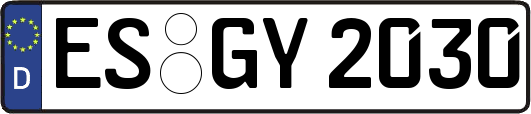 ES-GY2030
